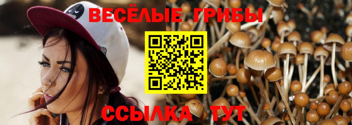 Псилоцибиновые грибы Magic Shrooms  Вход с VPN  Галлюциногенные грибы Psilocybine cubensis  Заинск 