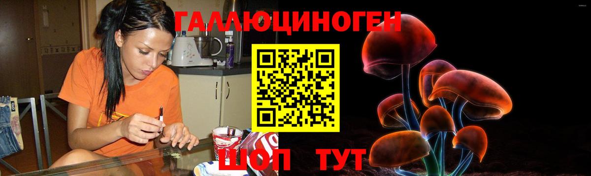 Галлюциногенные грибы Cubensis Заинск